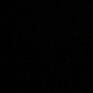 Meet your Posher, Leilani